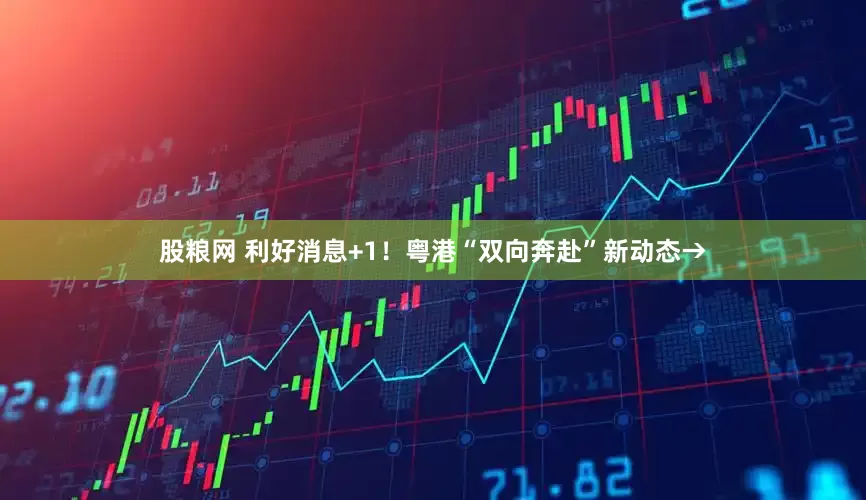 股粮网 利好消息+1！粤港“双向奔赴”新动态→