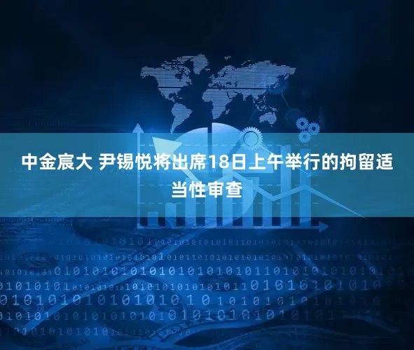 中金宸大 尹锡悦将出席18日上午举行的拘留适当性审查