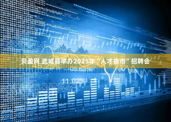 贝盈网 武城县举办2025年“人才夜市”招聘会