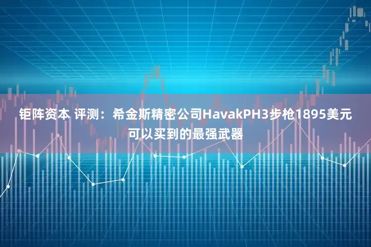 钜阵资本 评测：希金斯精密公司HavakPH3步枪1895美元可以买到的最强武器